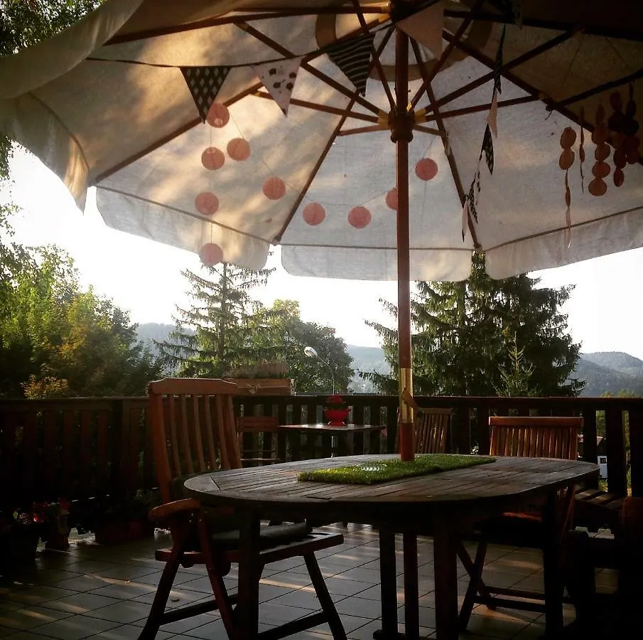 Villa Retro Mozliwosc Wynajecia Calosci Dla Grup Karpacz Homestay