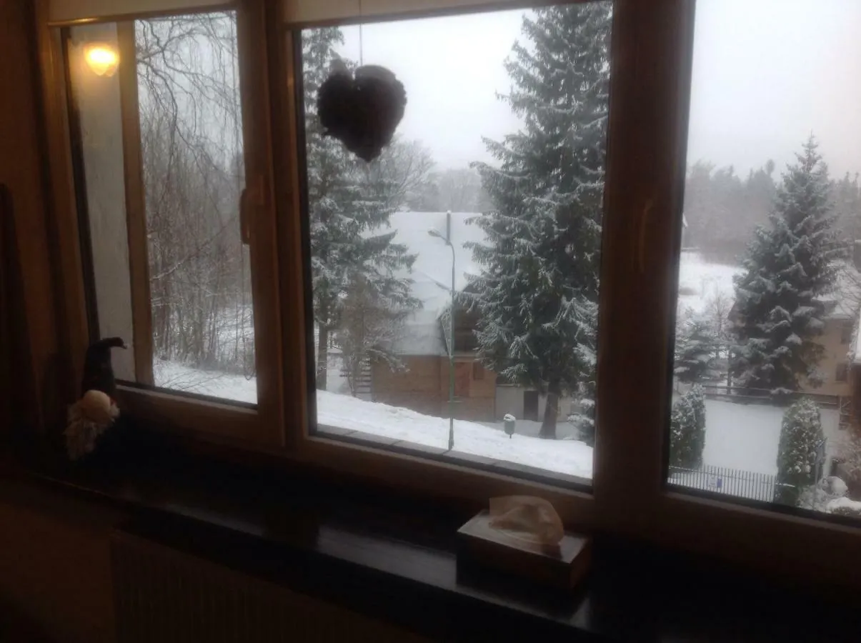 Villa Retro Mozliwosc Wynajecia Calosci Dla Grup Karpacz Homestay